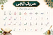 teach you urdu language, reading, writing and speaking professionally