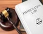 be your professional immigration lawyer