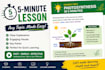 create a 5 minute lesson on any topic