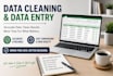 do data entry, microsoft excel, and PDF to excel conversion
