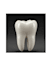 write professional dental assignments, articles and academic content