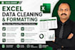 clean, organize, and analyze your excel data