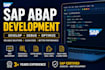 develop, debug and optimize sap abap programs