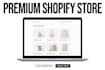 build a professional shopify store for your business