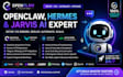 setup fix error openclaw hermes agent openclaw jarvis ai voice agent jarvis code