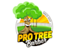 design a professional tree, nature, forest and eco logo