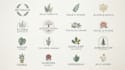 design elegant handmade feminine botanical logo
