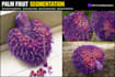 do palm fruit segmentation