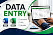 do data enrichmentand organize excel data