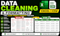 clean your excel database