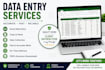 do accurate data entry and web research