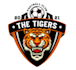 create an astonishing tiger logo design for your business