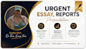 do urgent essay writing as an essay writer expert