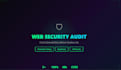 do a professional web application security audit
