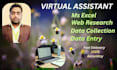 do professional data entry  excel work data cleaning