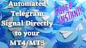 code mt4 or mt5 forex trade copier, telegram trade copier, signal copier bot