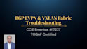 troubleshoot and optimize your bgp vxlan and evpn
