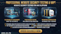 professional website security testing and vapt