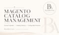 manage and clean up your magento product catalog