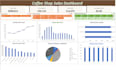create a professional excel dashboard and sales report