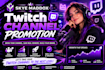 provide professional twitch channel promotion for streamers