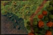 make you ttrpg maps