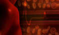 create 3d medical animation , anatomy and healthcare explainer