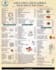 design a professional restaurant food menu