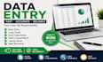 do intermediate excel data entry cleaning and spreadsheet formatting