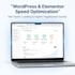 optimize wordpress and elementor speed for a high pagespeed score