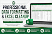 do professional data formatting, excel cleanup and spreadsheet formatting