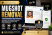 remove negative links, articles, false news, mugshots cases on google search