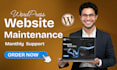 provide maintenance and support for your wordpress website