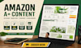 design amazon a plus content, ebc and premium infographics