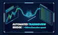 connect tradingview webhooks to your broker API