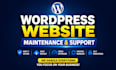 do wordpress website maintenance and wordpress website management