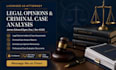 provide a professional legal case evaluation and strategy document