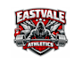 create high quality and beautiful athletic logo design