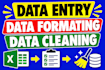 do data entry, data cleaning and formatting in excel