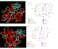 perform molecular docking and bioinformatics analysis