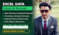 clean, organize, and format excel data entry within 24 hours
