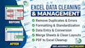 do data entry and data cleaning