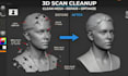 fix stl file 3d scan cleanup reverse engineering model stl,obj,3mf 3d printing