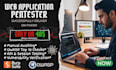 perform web application penetration testing