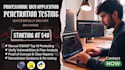 perform web application penetration testing