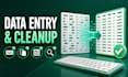 do accurate data entry spreadsheet cleanup and web research