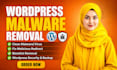 do wordpress malware removal, hacked wordpress security, website security