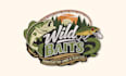 do professional embroidery digitizing for logo dst pes