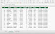 accurate data entry in excel