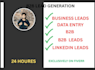 do b2b lead generation by data entry